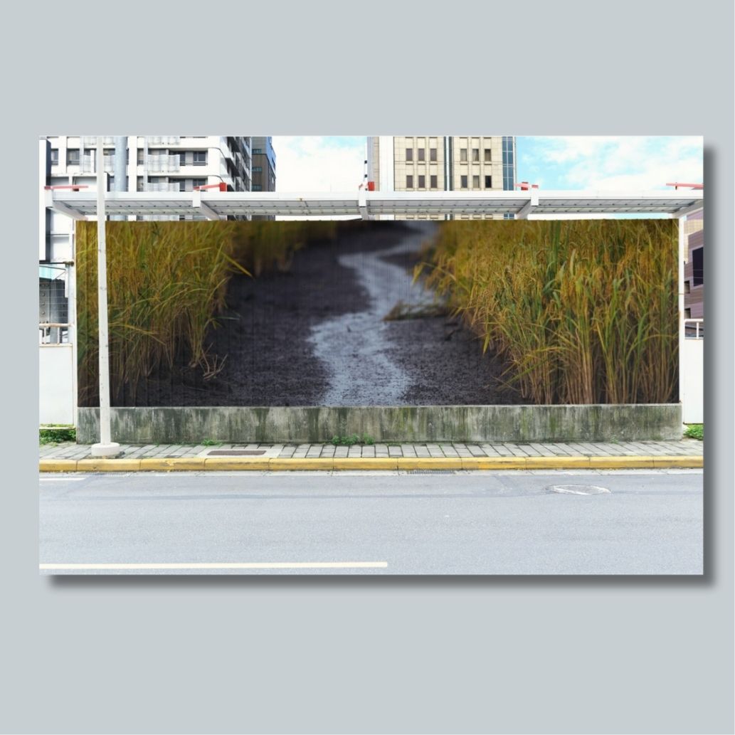Empty Road in Between Rice Field by Thanh Nguyễn